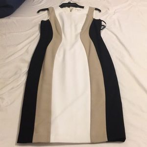 Calvin Klein Sheath Dress